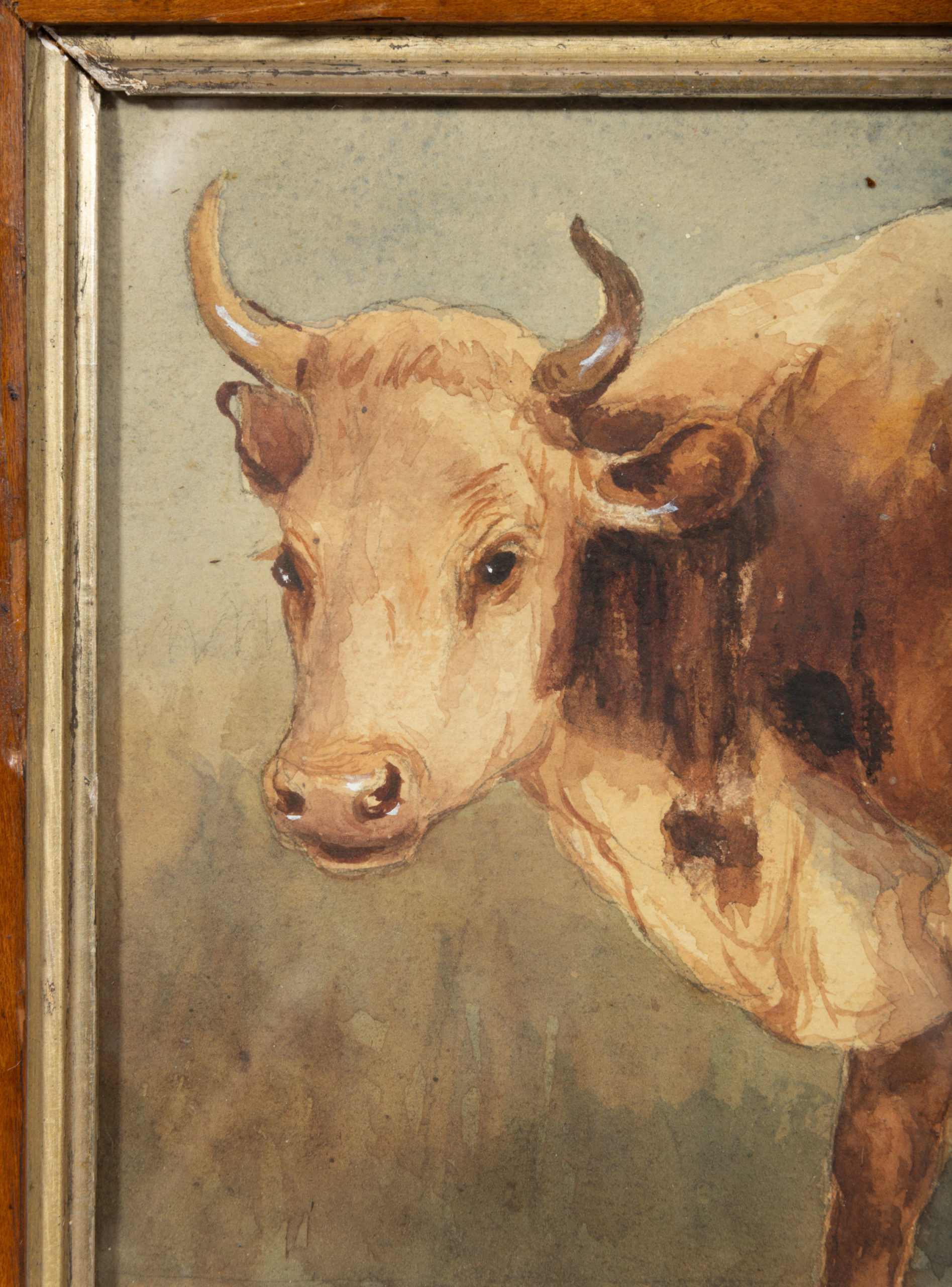 AMERICAN / BRITISH SCHOOL (LATE 19TH CENTURY) FOLK ART PAINTING OF A COW,
